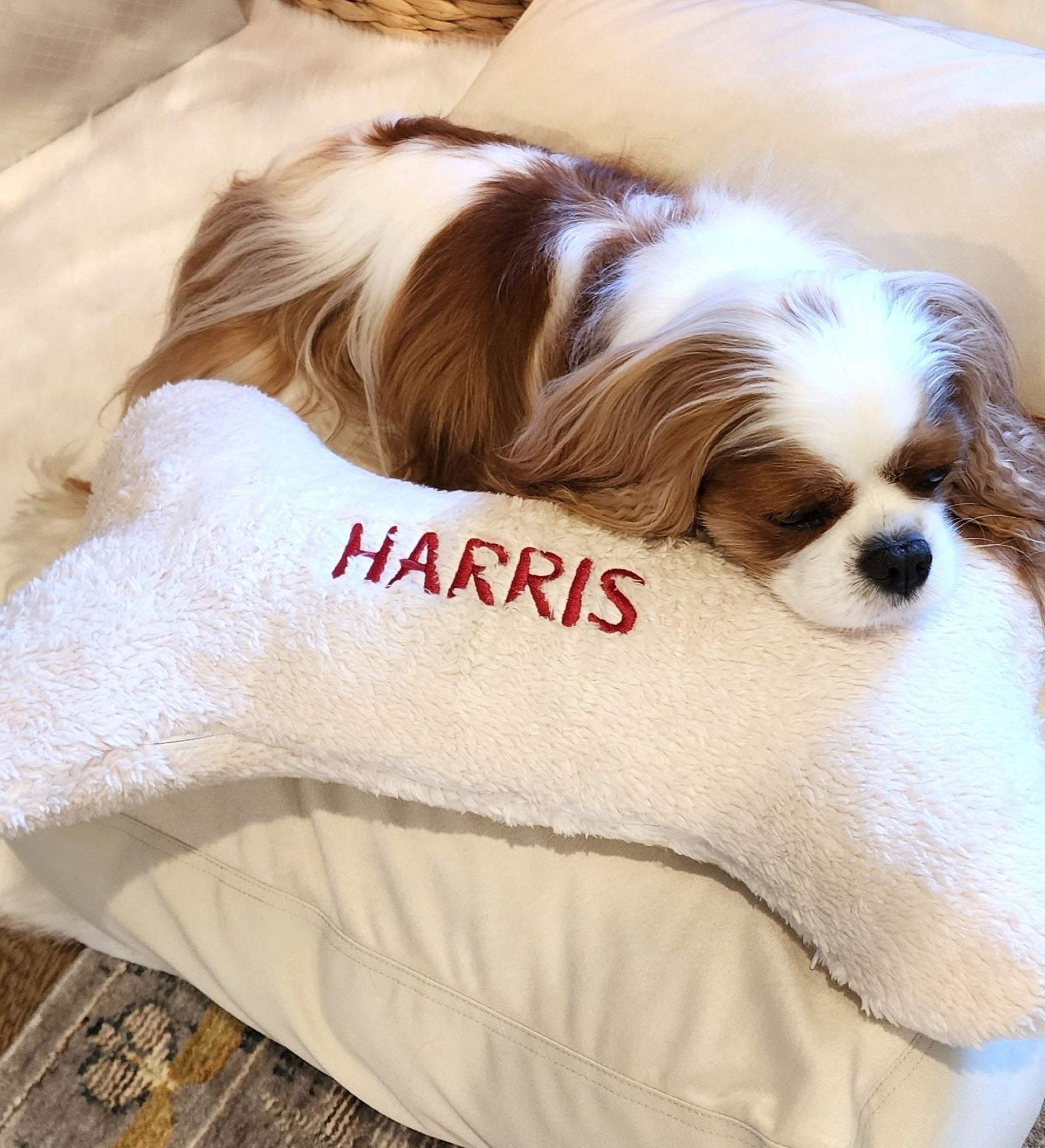 Personalized Dog Bone Pet Pillow