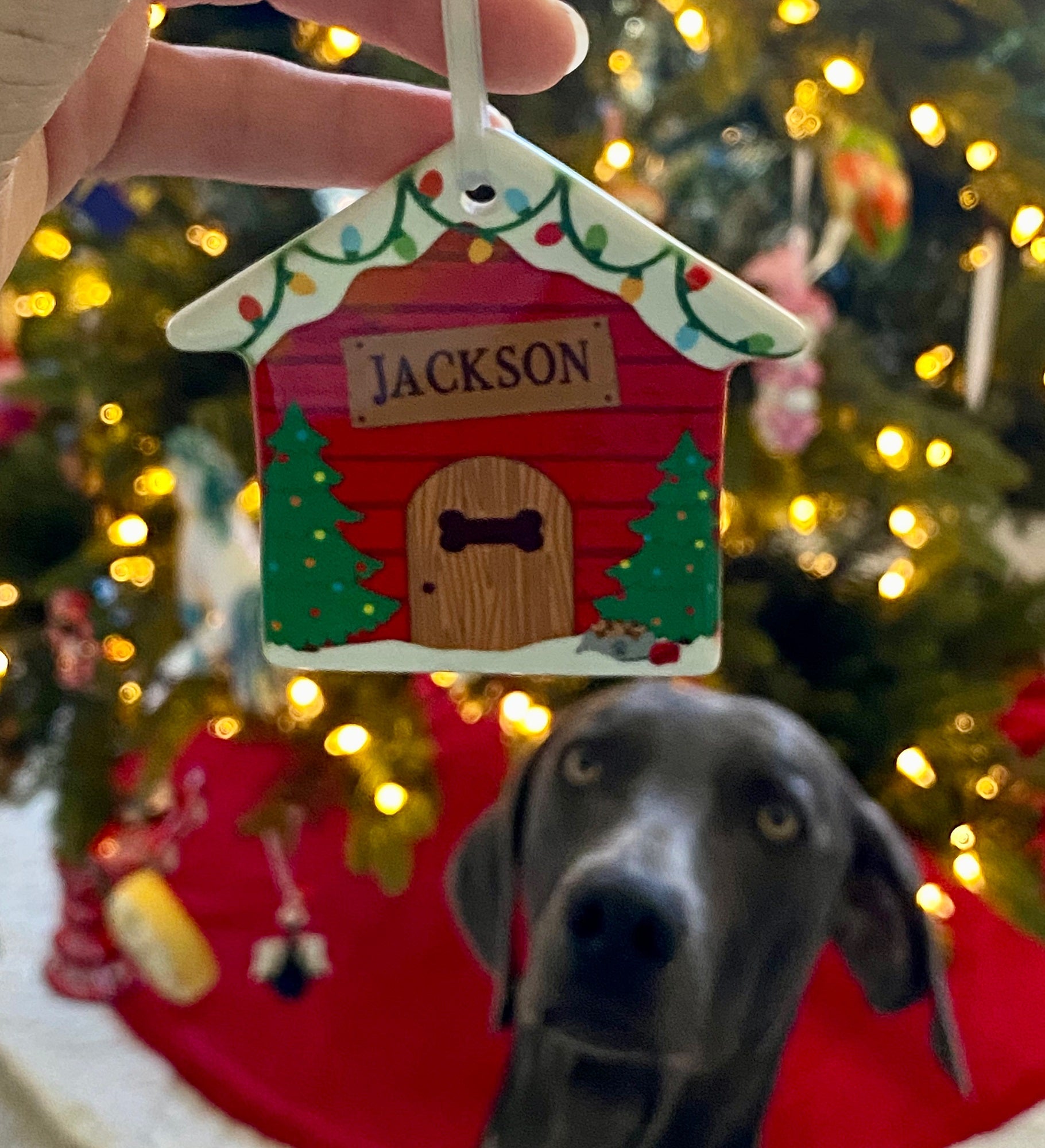 Good Dog! Personalized House Ornament