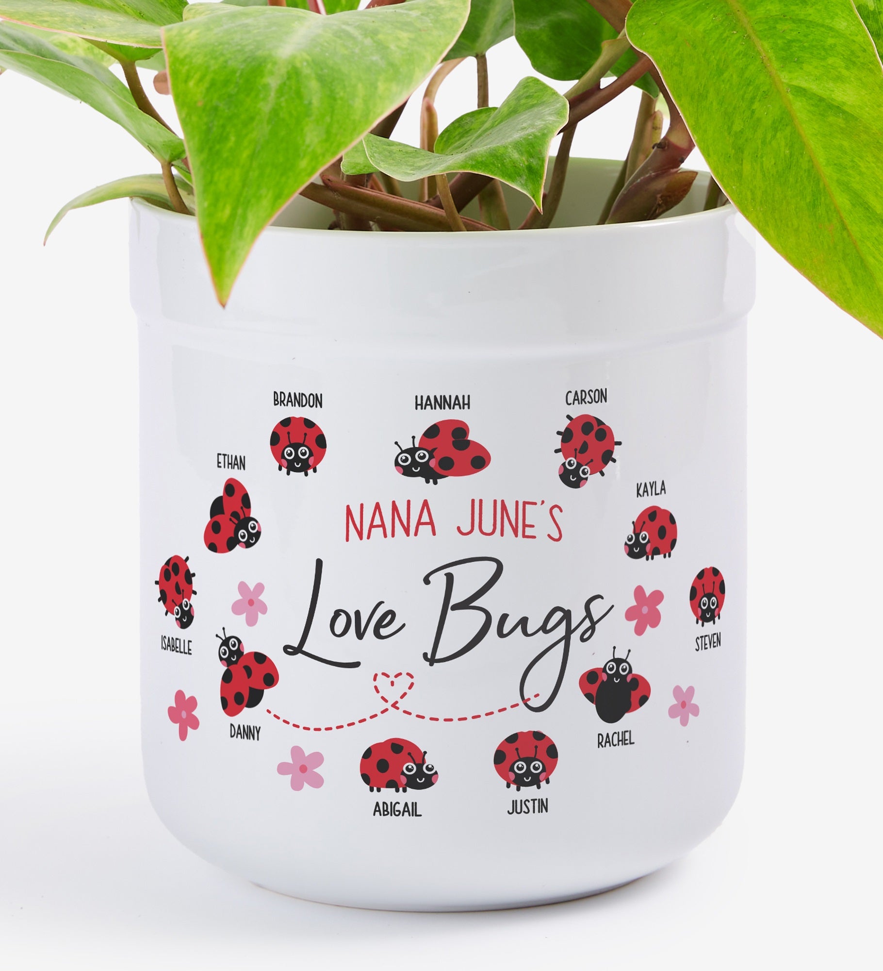 Love Bugs Personalized Outdoor Flower Pot