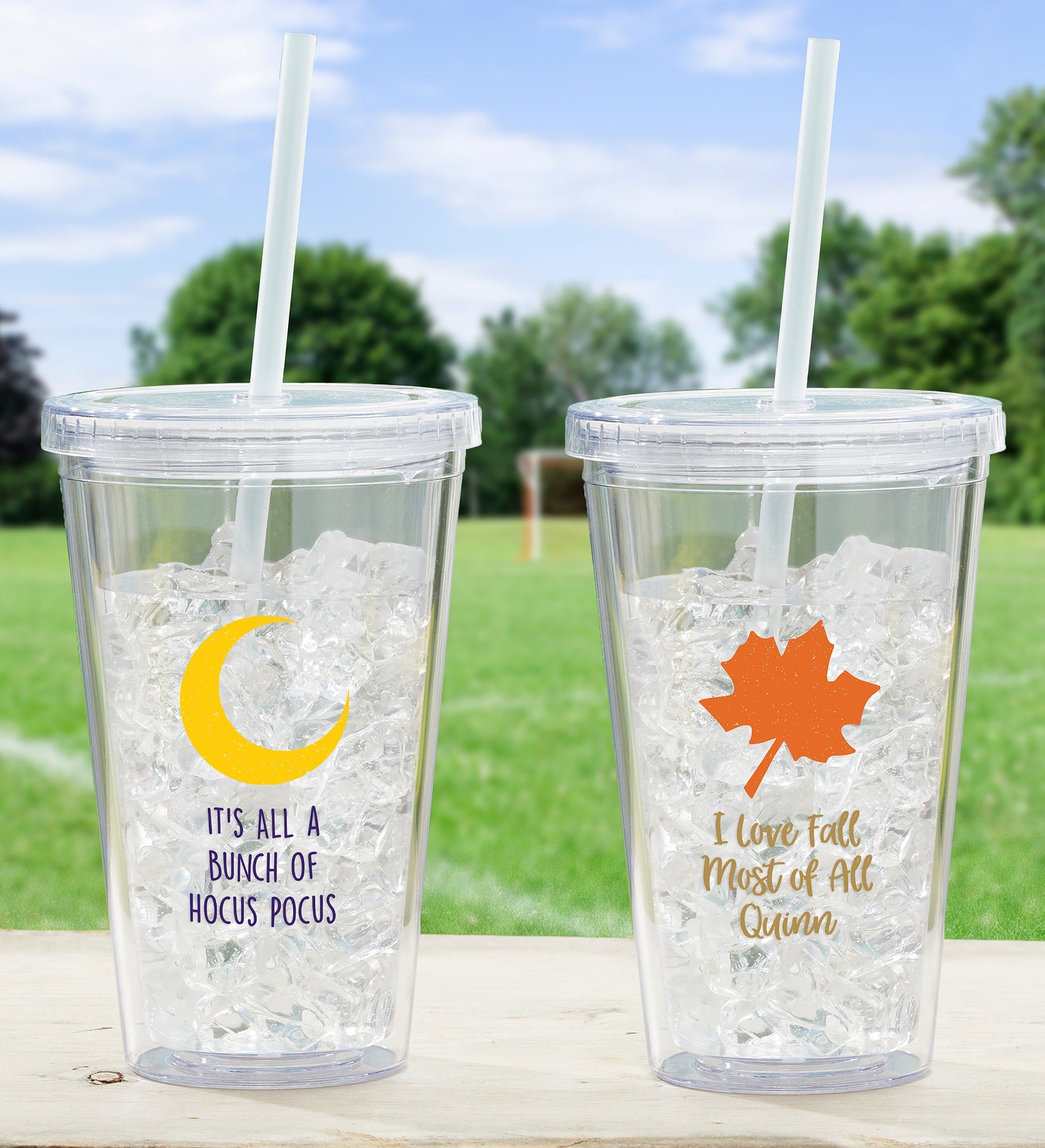 Choose Your Icon Personalized 17 oz. Fall Acrylic Insulated Tumbler