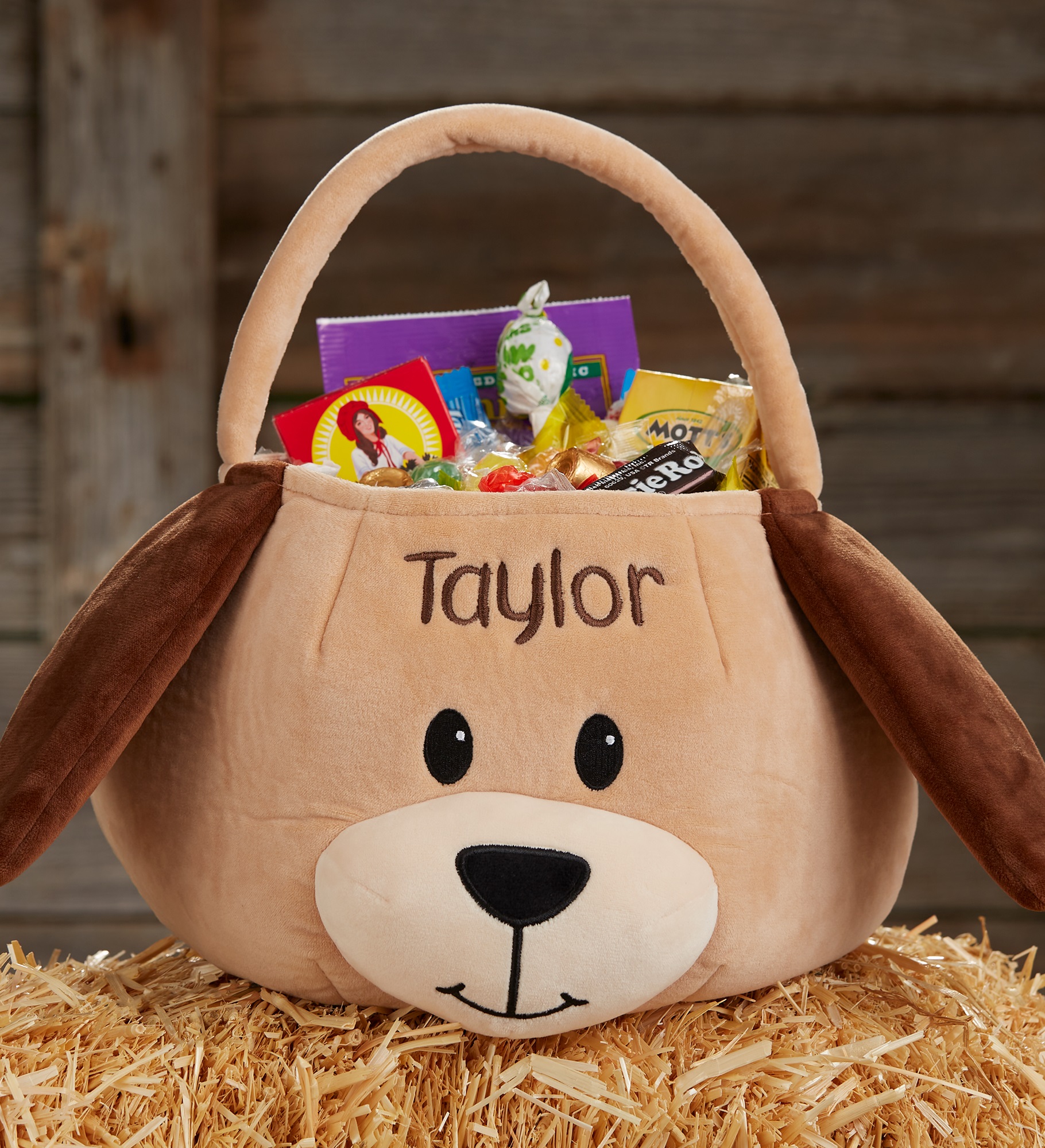 Puppy Embroidered Plush Halloween Treat Bag