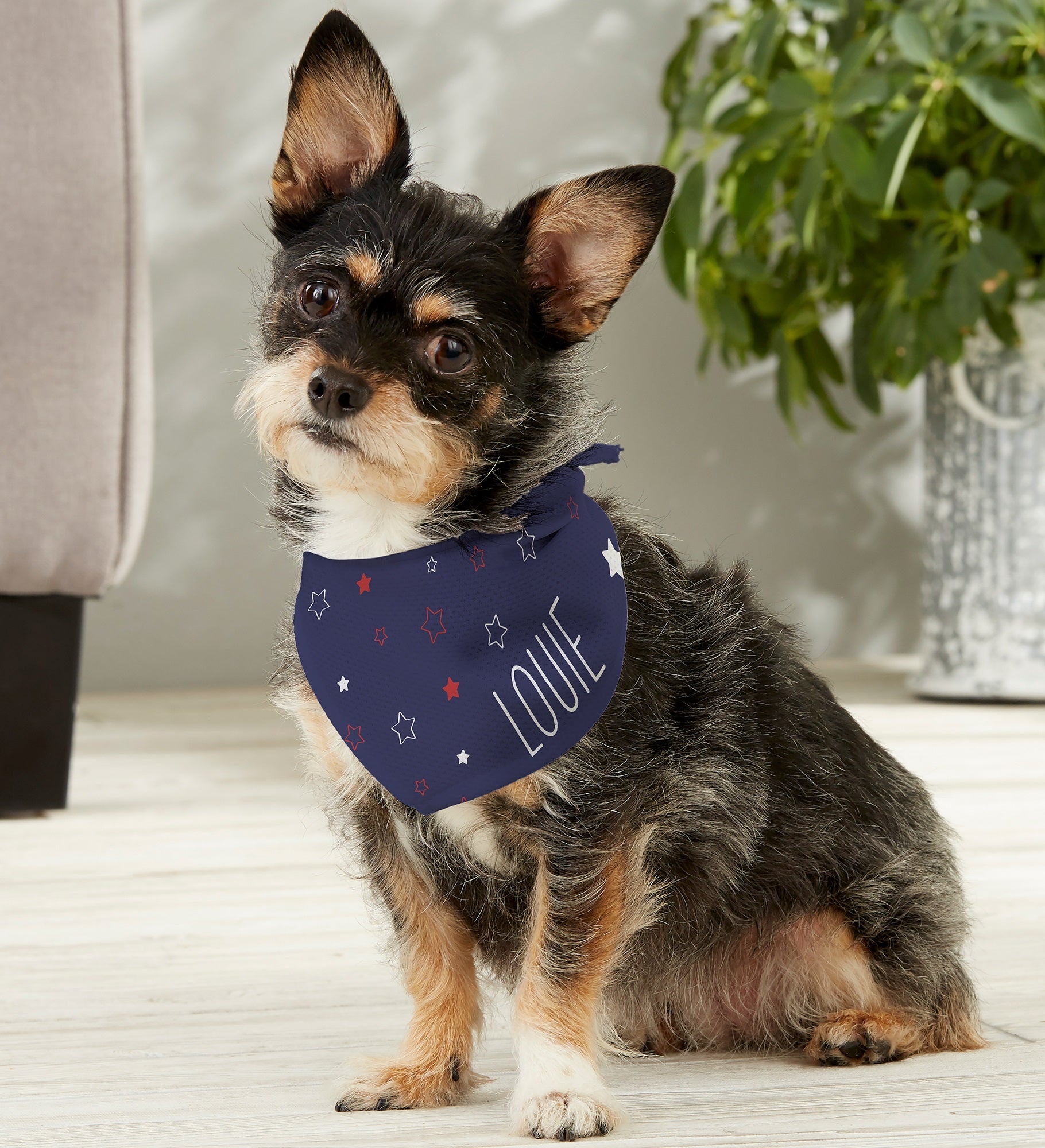 Stars & Stripes Personalized Patriotic Dog Bandana
