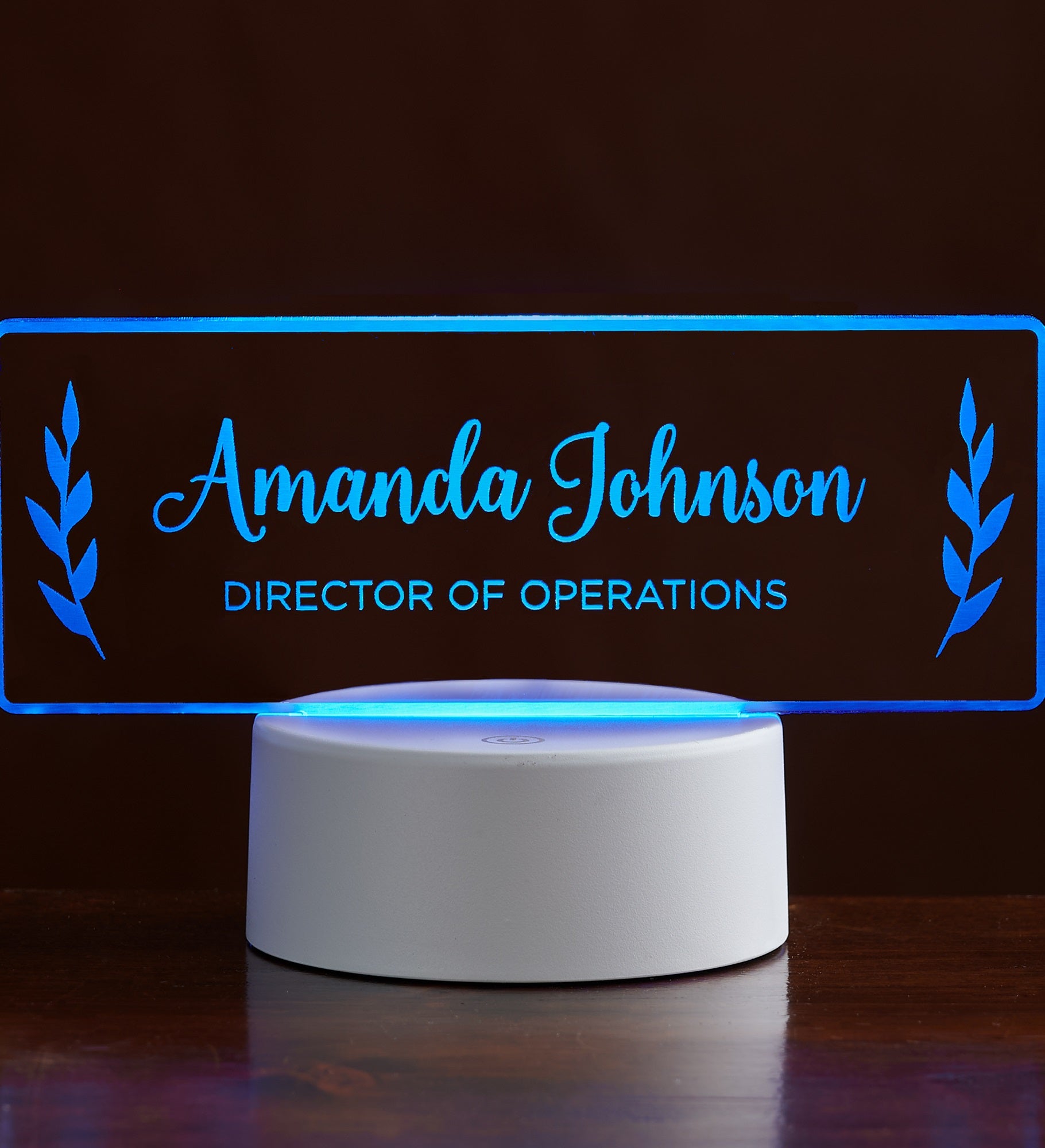 Professional Laurels Personalized LED Nameplate