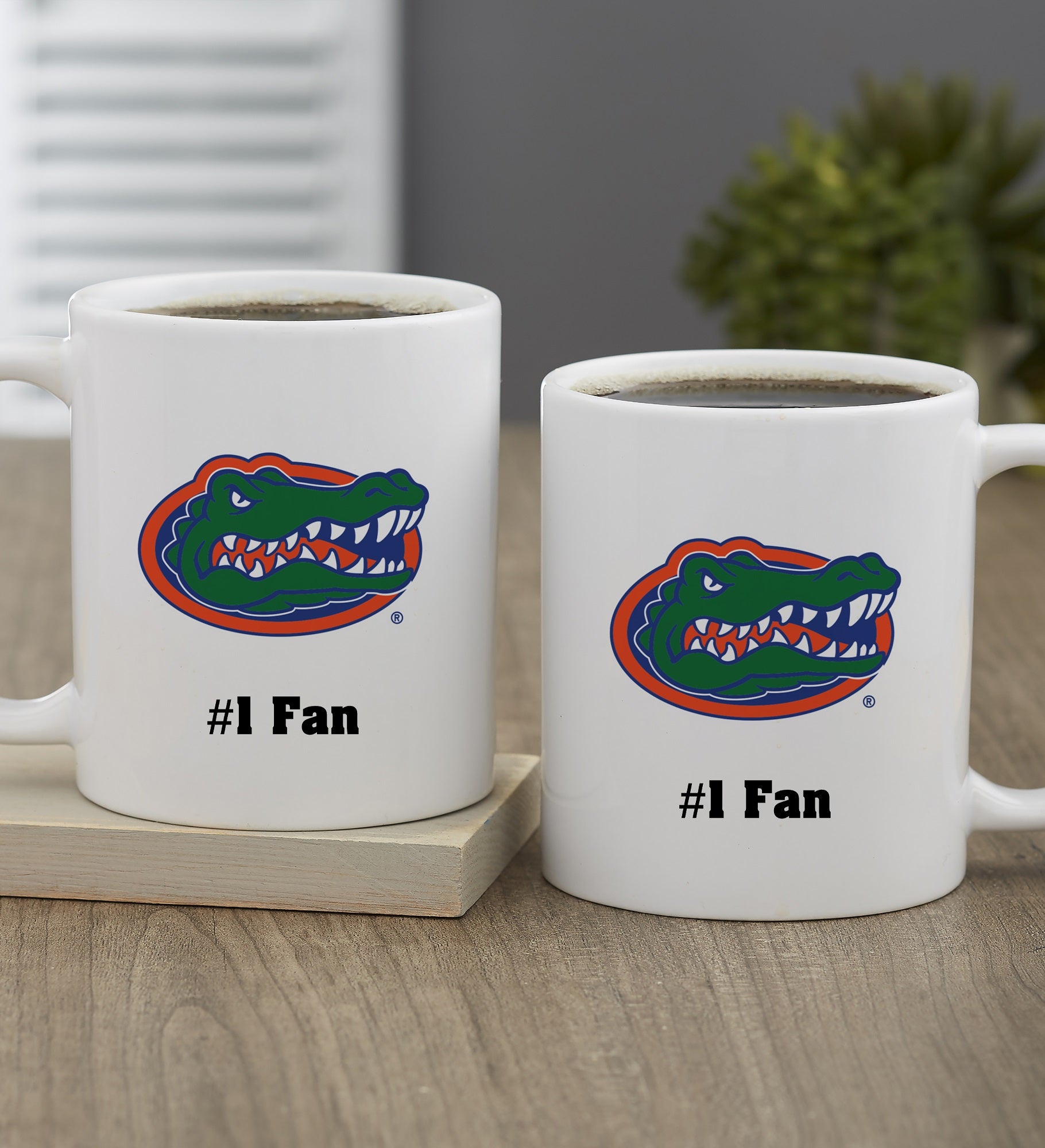 NCAA Florida Gators Personalized Coffee Mug