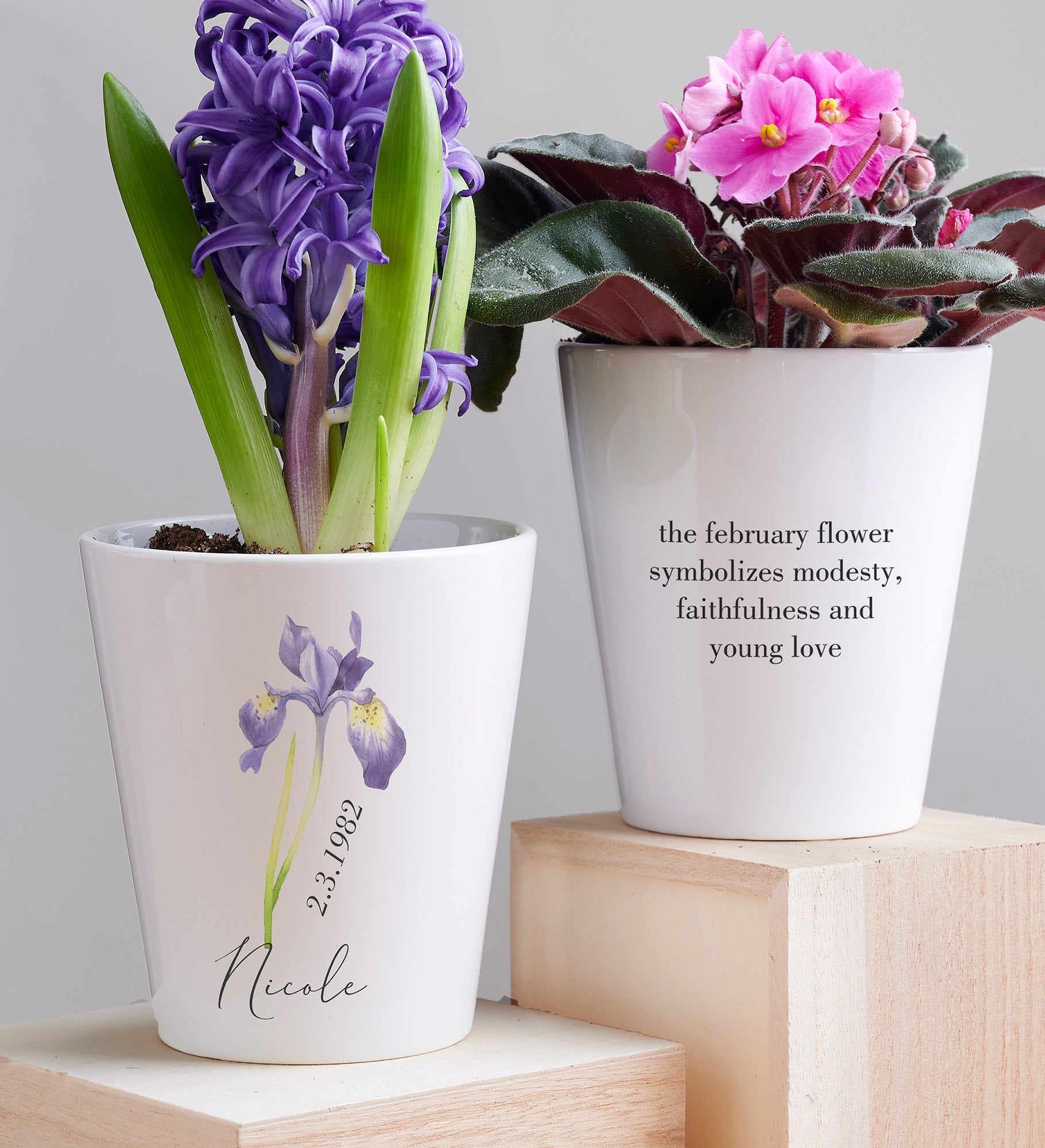 Birth Flower Personalized Mini Flower Pot