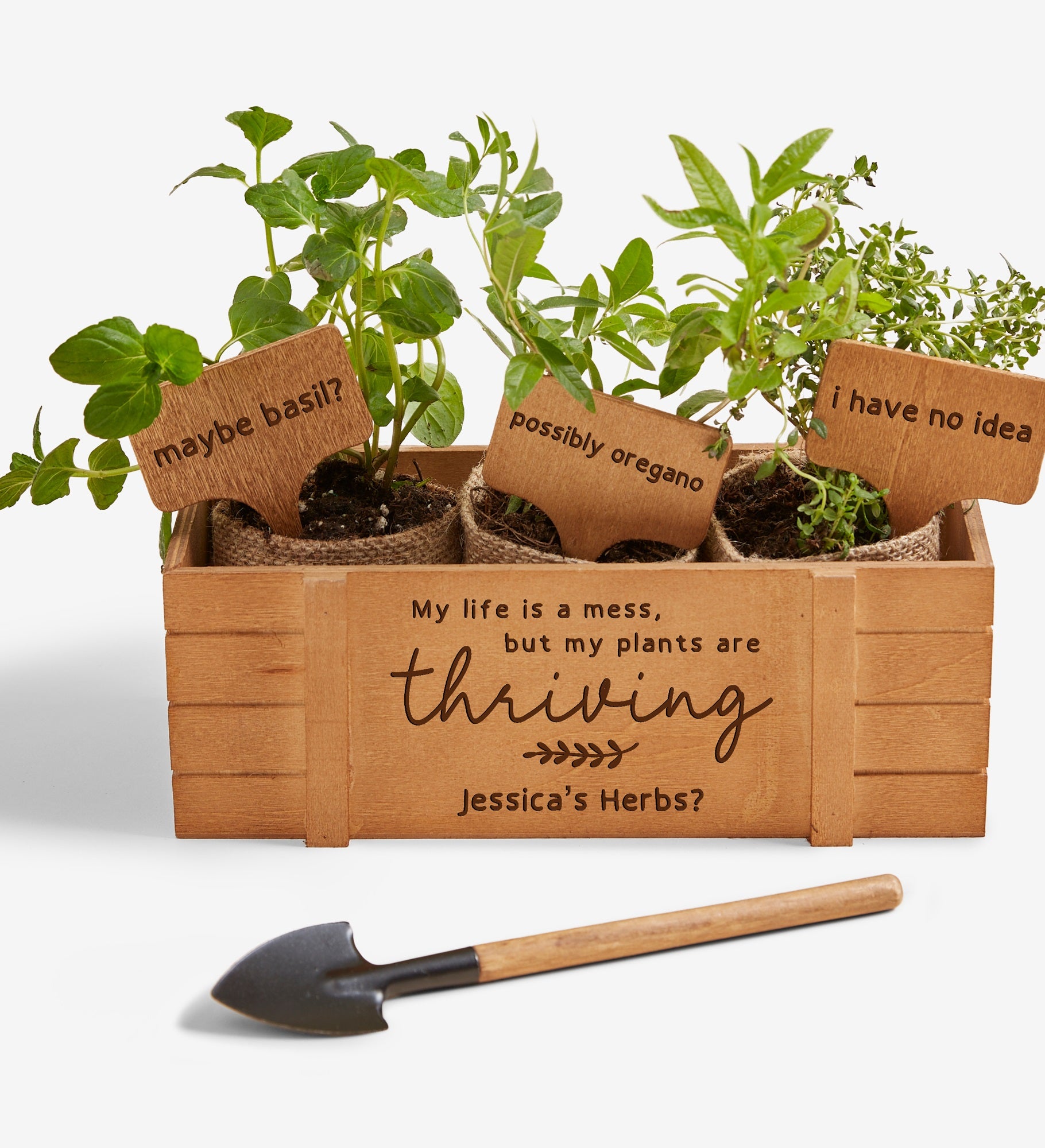 Fun Plant Quotes Personalized Herb Garden