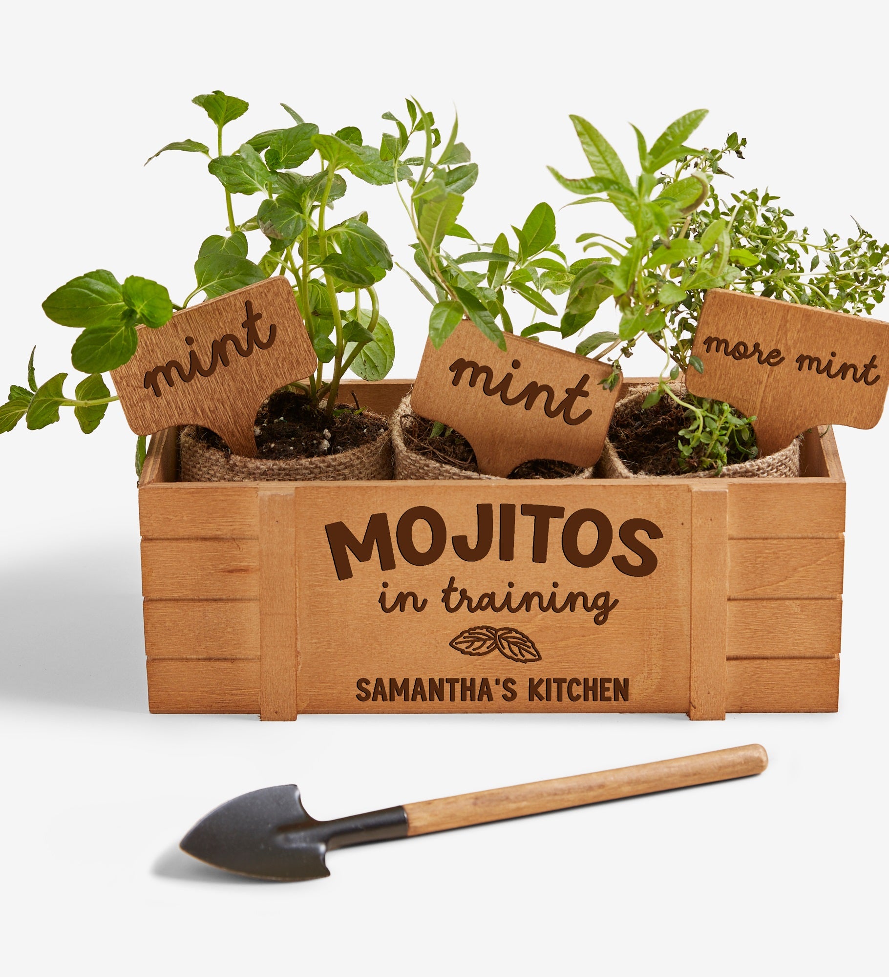 Fun Plant Quotes Personalized Herb Garden