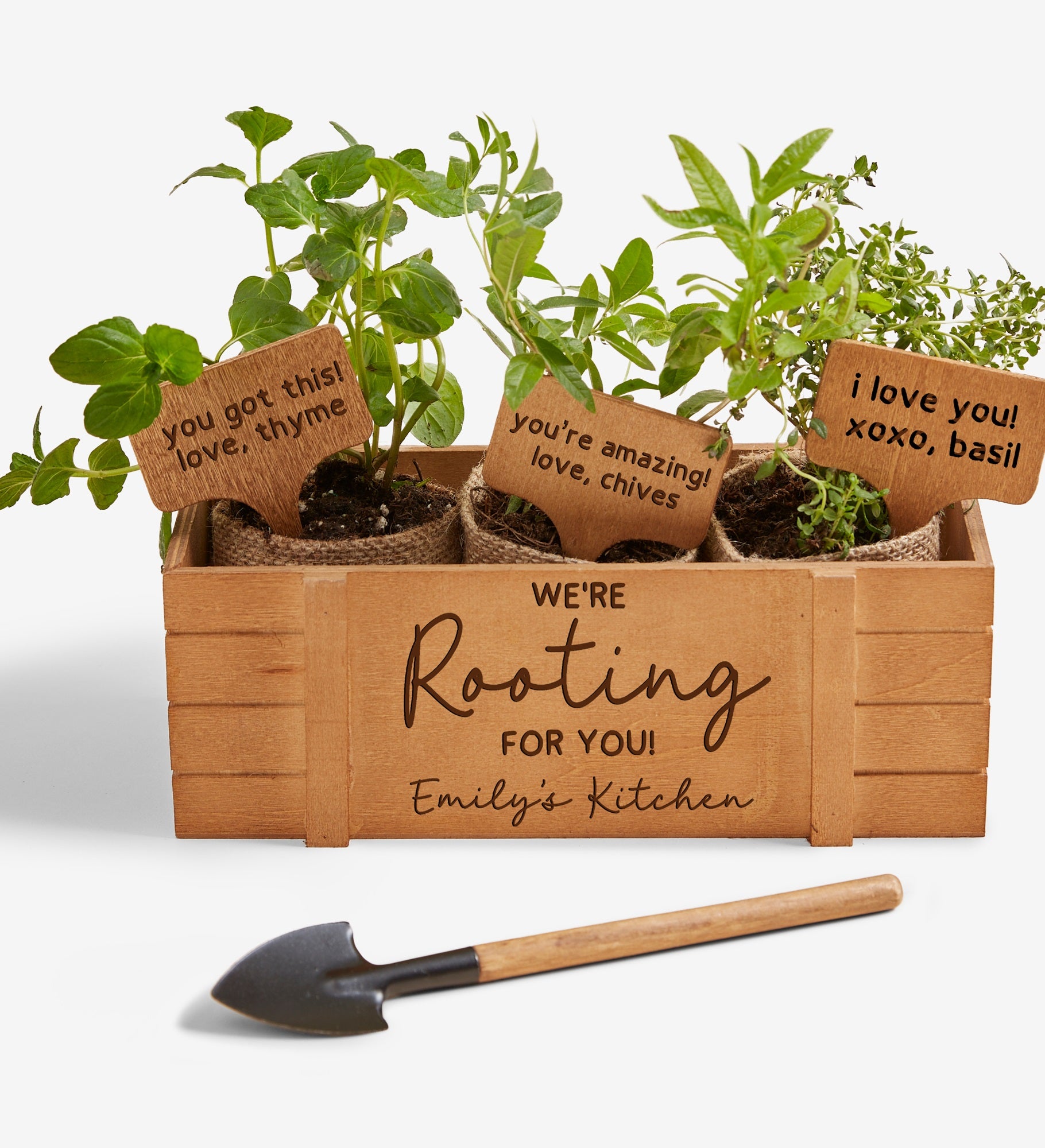 Fun Plant Quotes Personalized Herb Garden