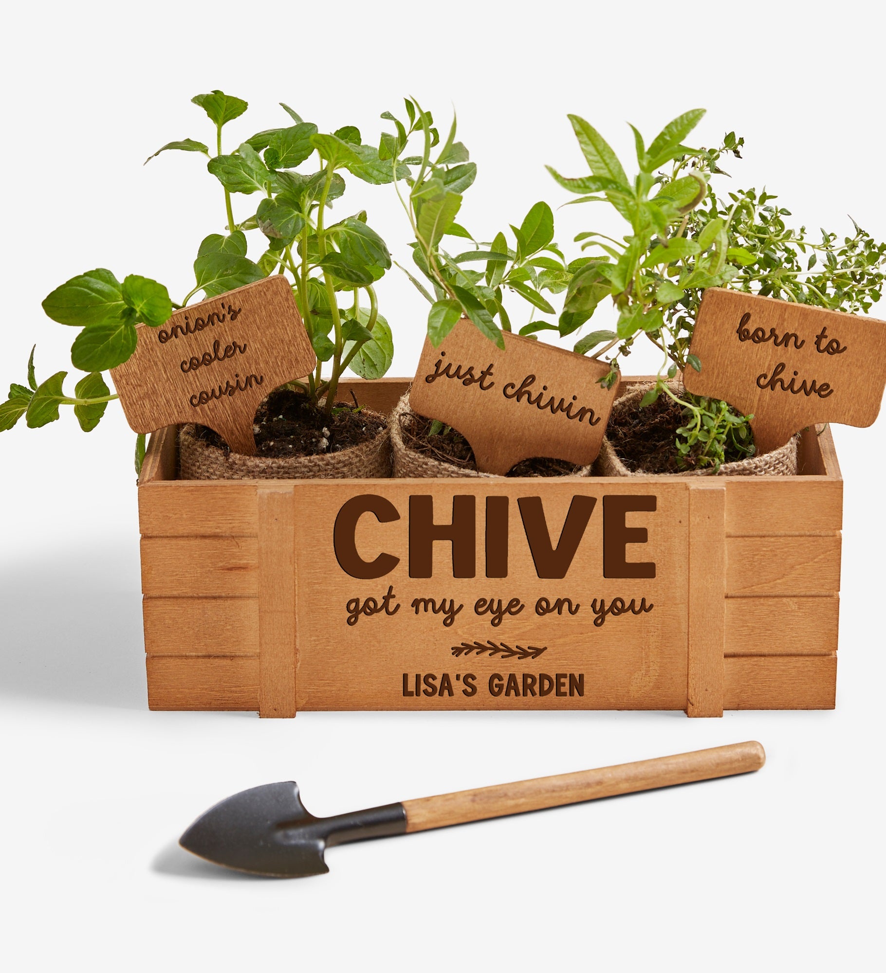 Fun Plant Quotes Personalized Herb Garden
