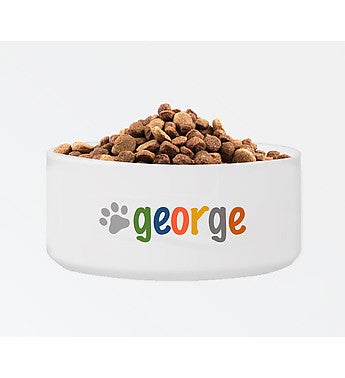 Personalized Classic Large Dog Bowl - Crayons