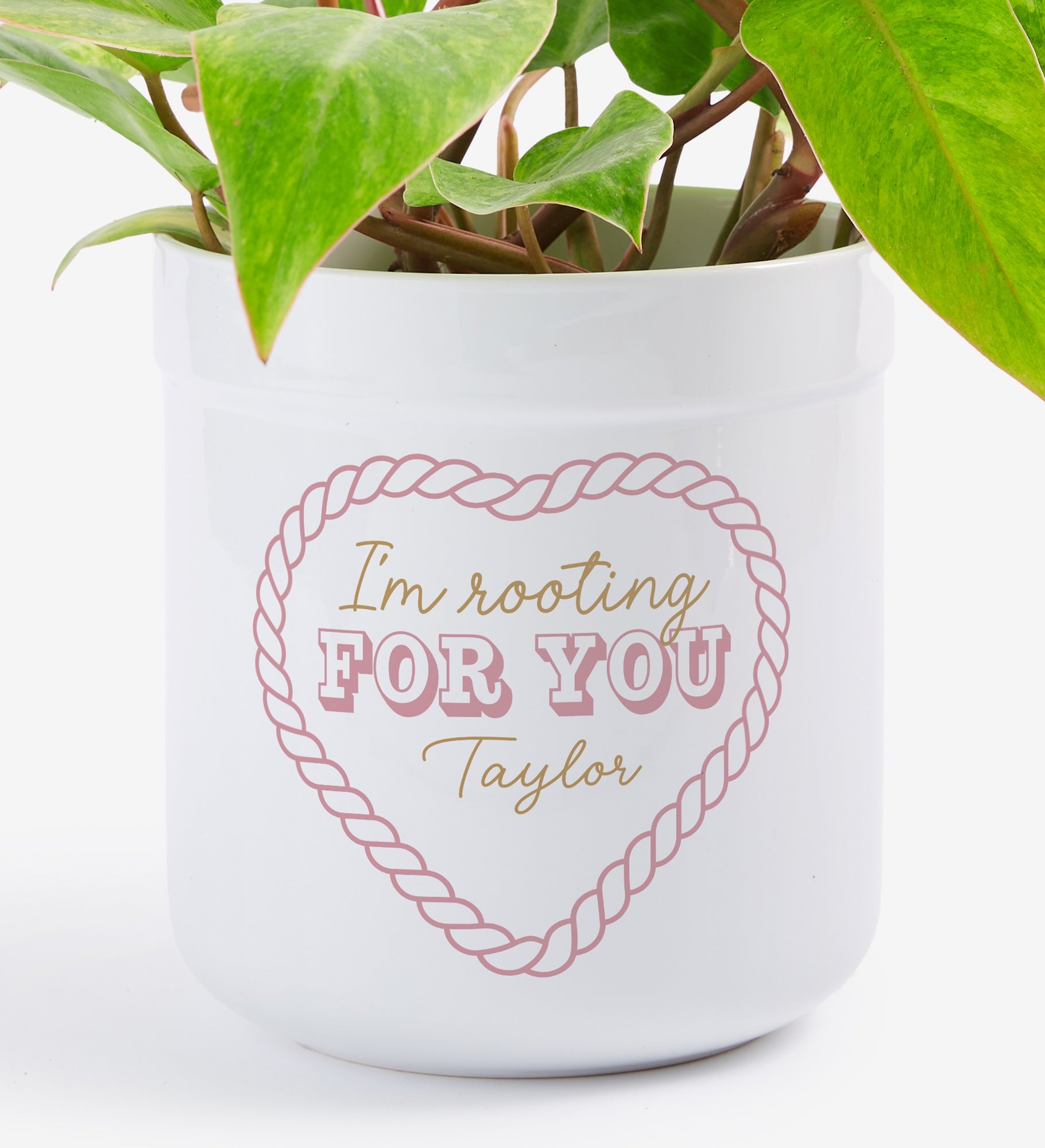 Personalized I'm Rooting For You Flower Pot by Jessie James Decker
