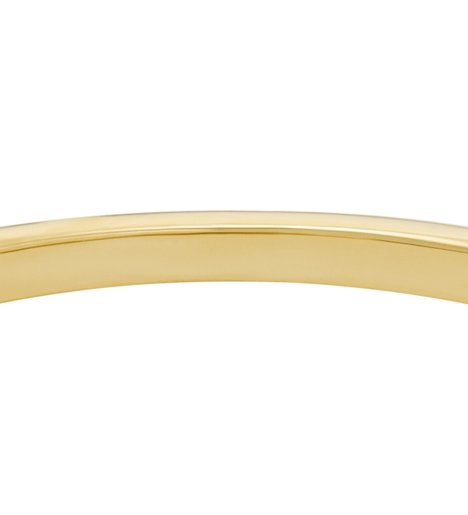 Fossil Heart Bangle Bracelet