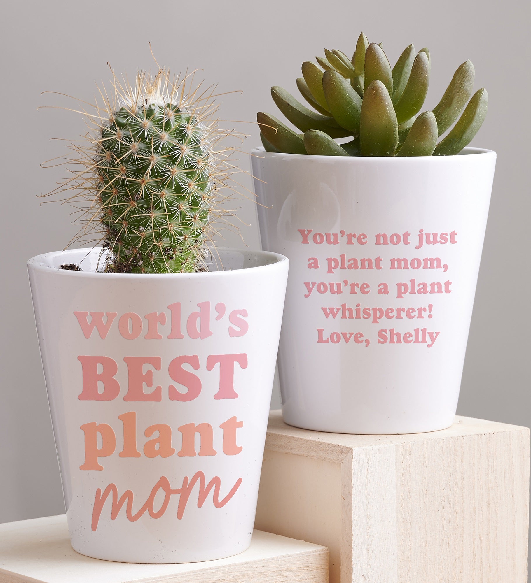 Kittenish Personalized Best Plant Mom Mini Flower Pot