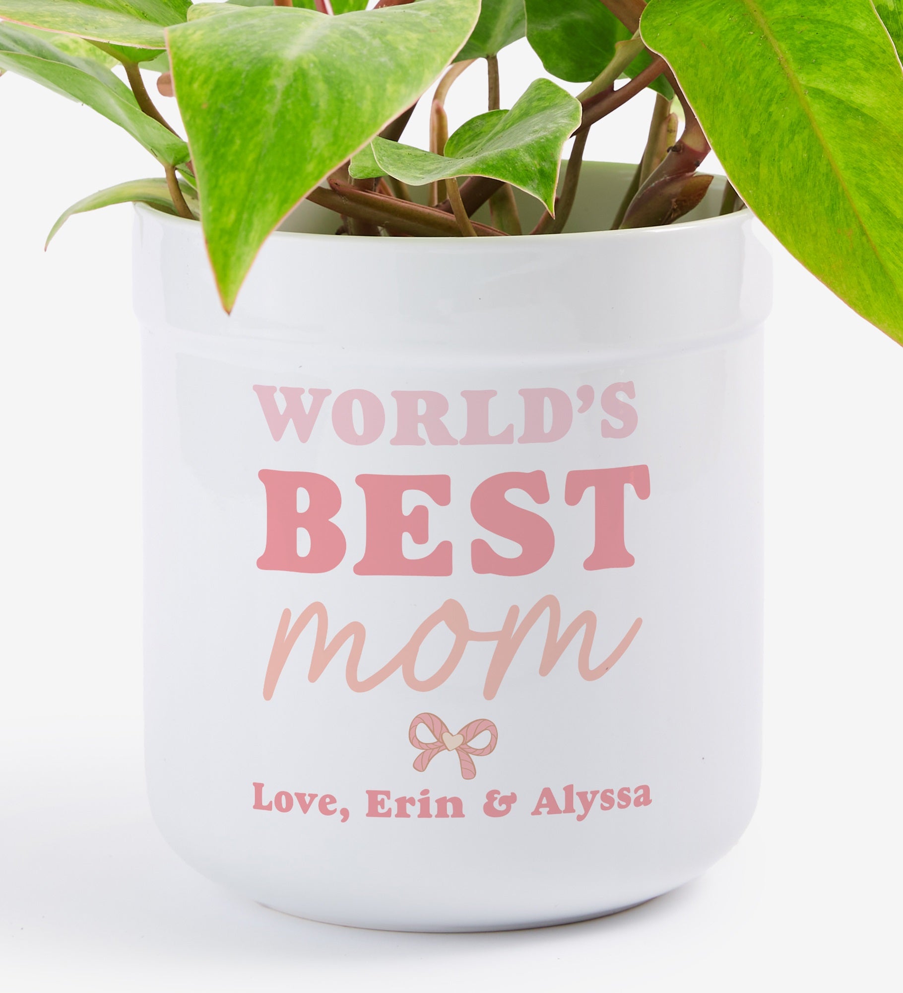 Personalized World's Best Mom Flower Pot by Jessie James Decker